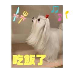 帥氣的Jimmy