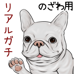 Nozawa Real Gachi Pug & Bulldog