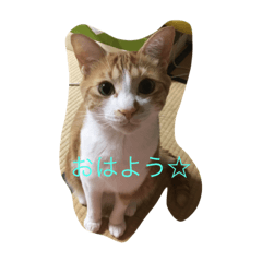 yukko_20191016184351