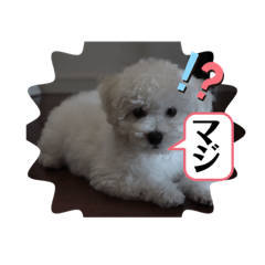 moco_20191016222710