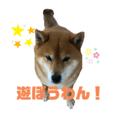 chiro_20191016225827