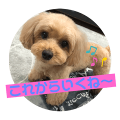 iku_20191016225528