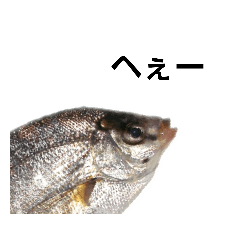 ken_20191016223754