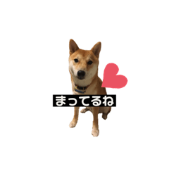 mame_20190925125910