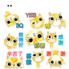小橘貓美短美國短毛貓喵拿鐵隨你填9