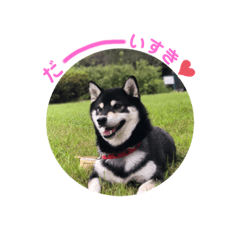 arisa_20191017084854