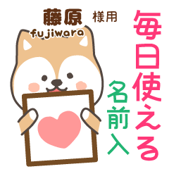 [FUJIWARA]Cute brown dog. Shiba Inu