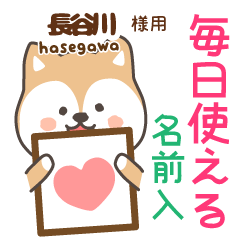[HASEGAWA]Cute brown dog. Shiba Inu