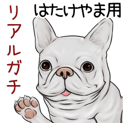 Hatakeyama Real Gachi Pug & Bulldog