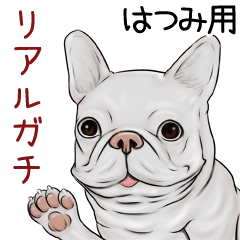 Hatsumi Real Gachi Pug & Bulldog