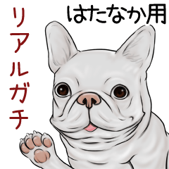 Hatanaka Real Gachi Pug & Bulldog