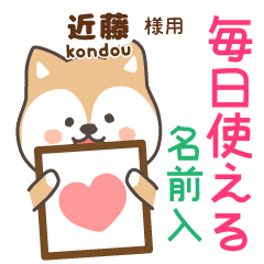 [KONDOU]Cute brown dog. Shiba Inu