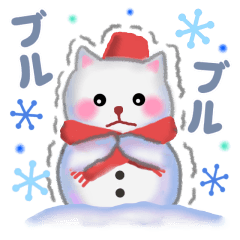 white snow cat 2020