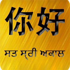 Chinese - Punjabi Gold 1