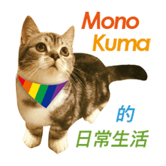 Kuma&Mono cats life