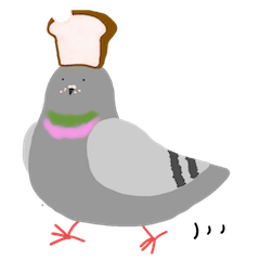 pigeon and bread