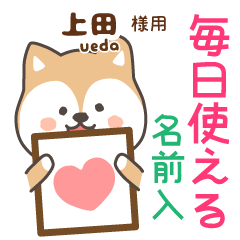 [UEDA]Cute brown dog. Shiba Inu