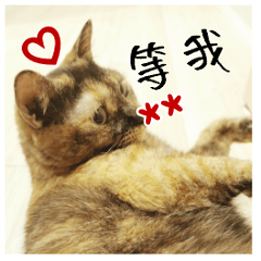 Beauty Cat Mahua Custom Sticker