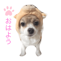 Moco_20191014175837