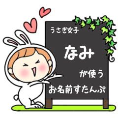 A name sticker used by rabbitgirls Nami