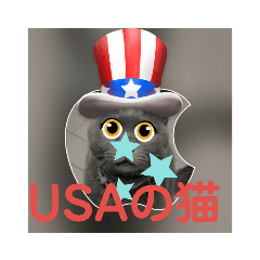 USA＆日本の猫