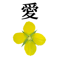 黄色の花 と 漢字