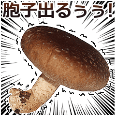 最強のしいたけ Lineクリエイターズスタンプ Stamplist 最強のしいたけ Lineクリエイターズスタンプ Stamplist
