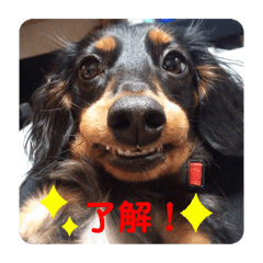 love &peace_20190926230704