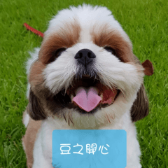 Hey Dou useful stickers part 1