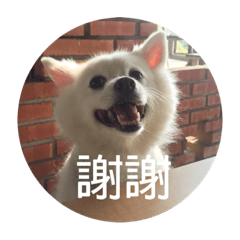 我是一隻雞腿2