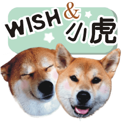 Shiba Inu-Wish and Xiaohu