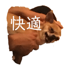 rotcheeeeeeeeee_20190929214644