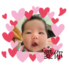 豬芯