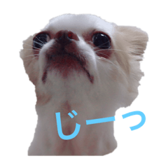 maya_20191014153459