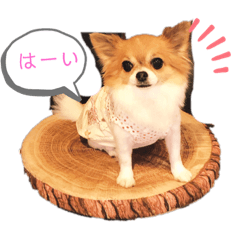 nozomi_20190928163203