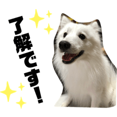 tetsu_20191015155220