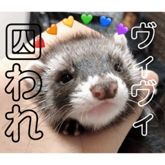 baby_20191001023056