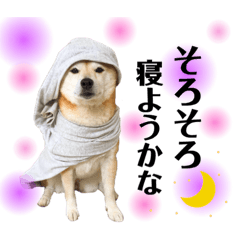 Shibainu KOMUGI simple stamp