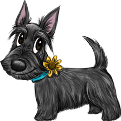 Charming dog ScottishTerrier