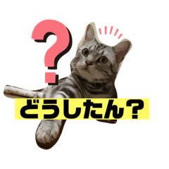 KYOKO_20190925214644