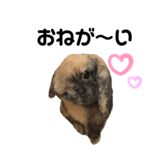 Bobeking