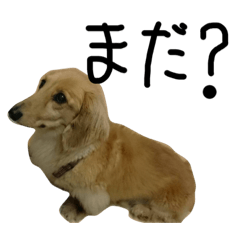 Riku_20191001123747