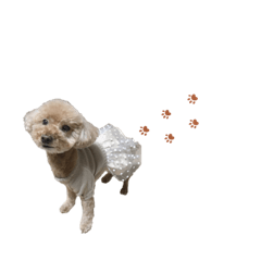 azu_20191014221918