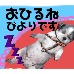 ikumi_20190929150229