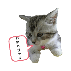 Hikaru_20190928015052