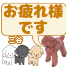 Mitani's. letters toy poodle
