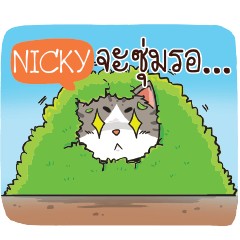 NICKY cheeky cat e