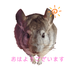 hapihapi-ekizo