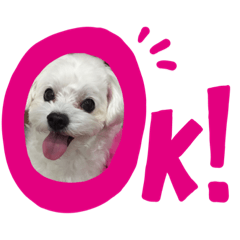 我是錢錢 錢錢是我