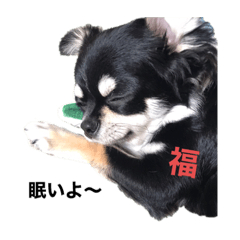 chihiro_20191015154821